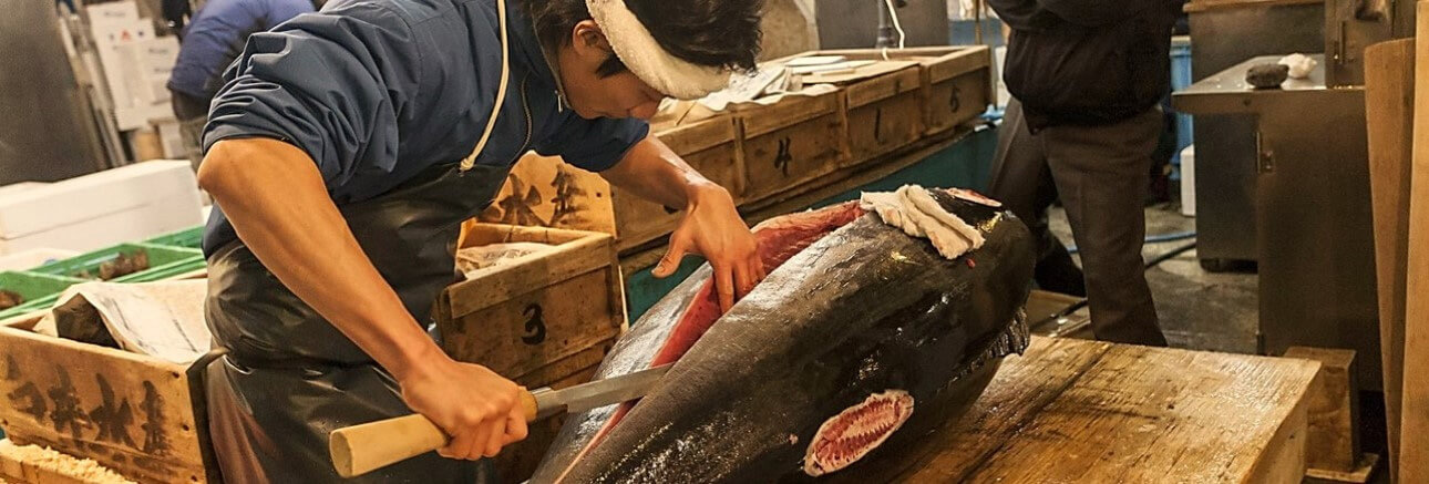 Le marché du poisson de Tokyo : une expérience incontournable pour les amateurs de gastronomie japonaise
