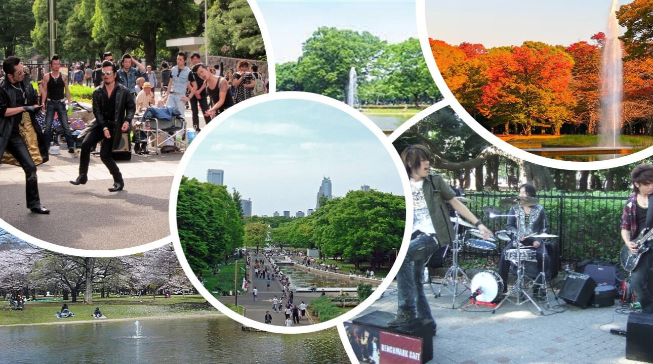 Meiji-jingu et le parc de Yoyogi : deux joyaux de Tokyo