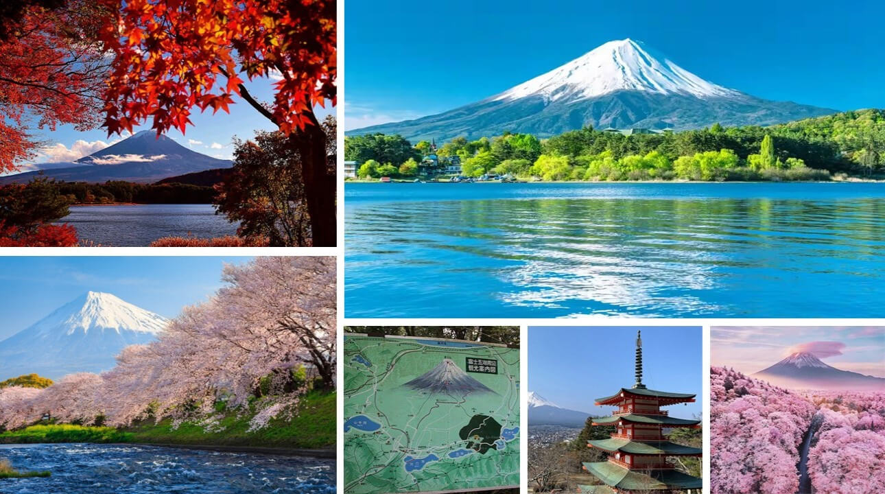 Le mont Fuji et la région des 5 lacs
