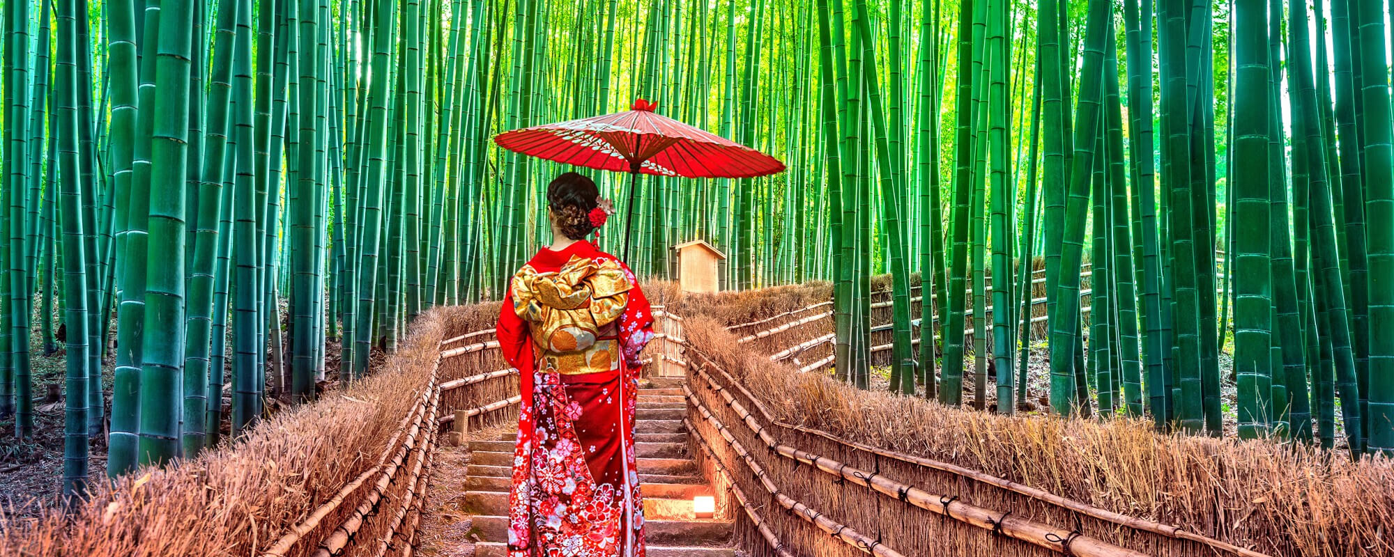 Voyage en groupe au Japon