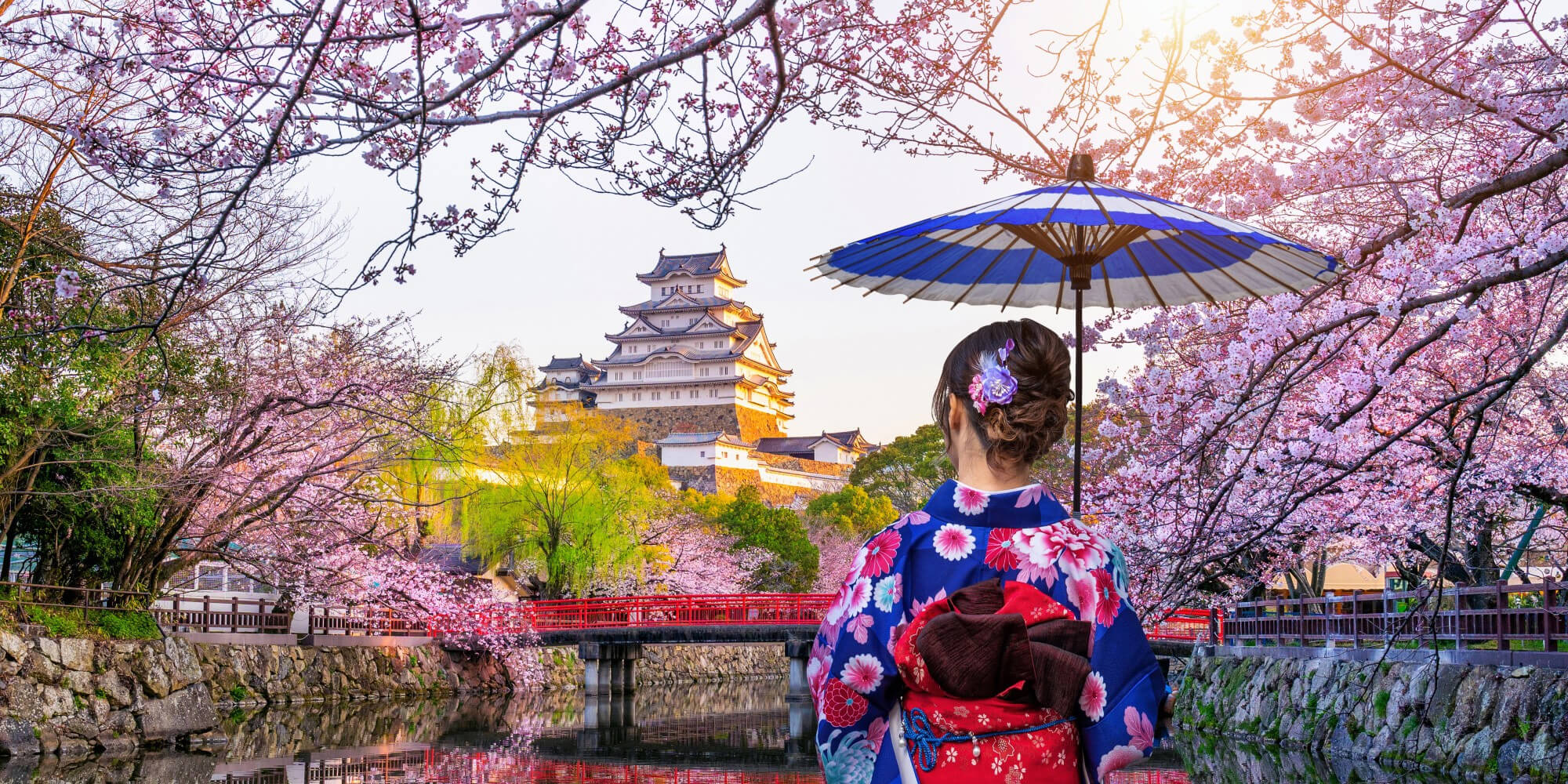 Spécial Sakura ou Momiji